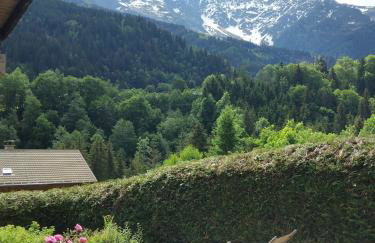 Chalet Indépendant " L'anfian-ne" - Foto 5
