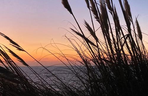 Riversmeet beach side holiday cottage - Foto 27