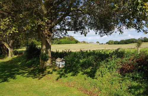 Crows Nest - Photo 14