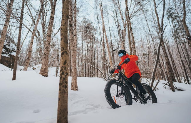 Spahaus 128 - Citq 298787 - Foto 6