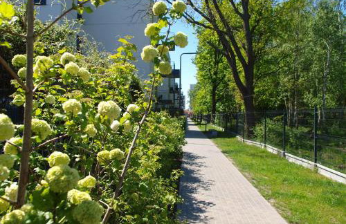 Apartment Talarowa Delux - Foto 21