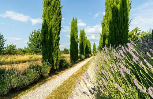 Flat In Hamlet Near Arezzo - Photo 38