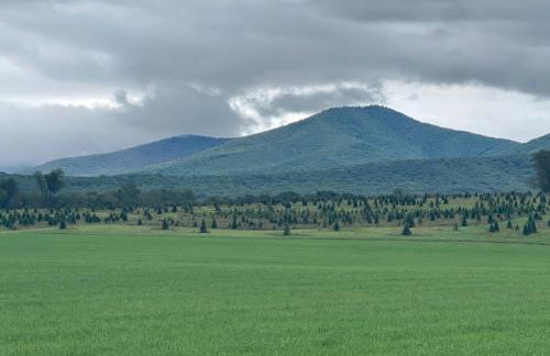 The Firefly Lodge at Shenandoah - Foto 35