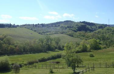 La Gufaia - holiday house with private pool near Florence - Foto 29