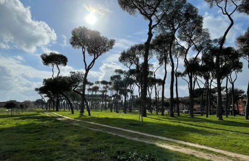 Mon-Tis Paolo V - vicino metro Cornelia - Foto 26