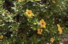 villa casa Aymlo - Foto 28