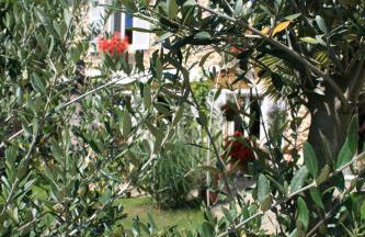 Gîtes Le Petit Nailly - Foto 22