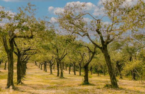 Tenuta delle Rose - Country House - Foto 21