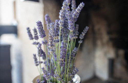 Casa Grazia - Foto 11