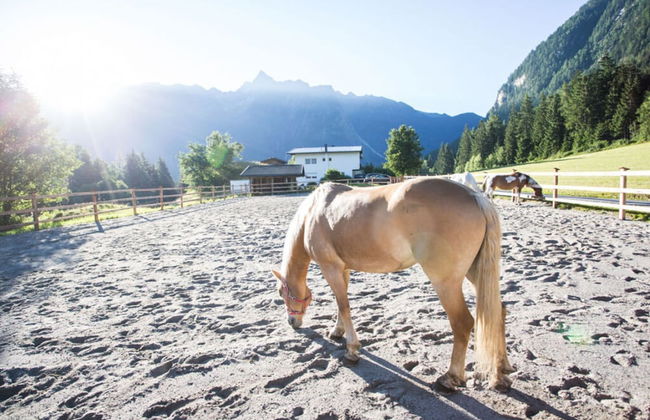 Lovely Apartment in Sautens - Foto 14