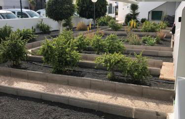 Las Mimosas - Foto 61