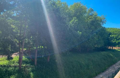 Apt. neuf à 50m du port - Parking privé, ascenseur - Foto 18