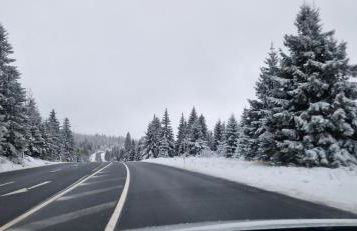 Ferienwohnung Schwarzer Hirsch - Foto 25