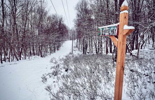 Deck and Forest Views Secluded Cresco Cabin! - Foto 28