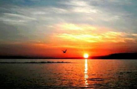 301 Sea And Sun Apartments Kardamili - Foto 34