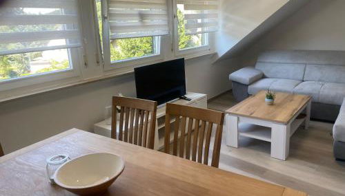 Holunder nah am Waldsee 3 - Foto 4