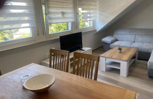 Holunder nah am Waldsee 3 - Foto 4