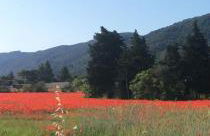 Maison Daumas Billard Français et Piscine - Foto 42