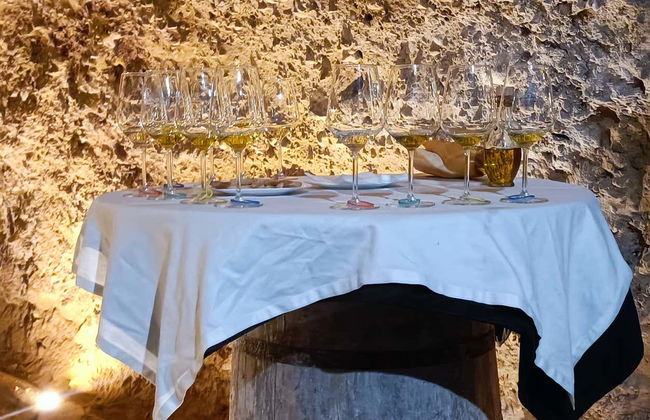 Visite des caves à vin Dorretxe + Dégustation d'huile d'olive - Photo 5