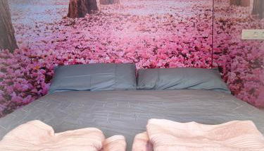 Sueños de Orive. Con piscina y wifi. Casco antiguo. - Foto 4