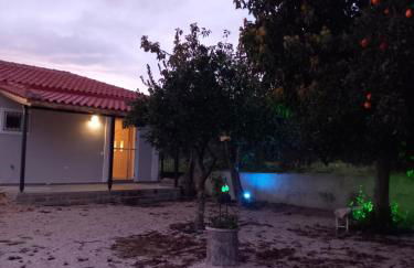 Avocado house - Photo 8