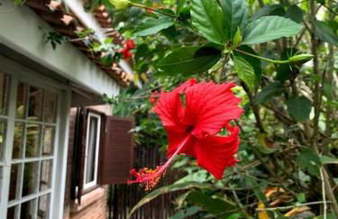 Casa charmosa em Juquehy cercada de verde, 2 quartos com churrasqueira - Foto 34