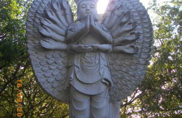 Rex Surf House - Foto 39