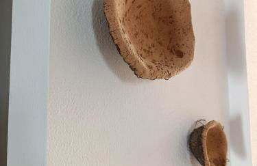 Casa da Courela do Olival - Santo Aleixo - Foto 38