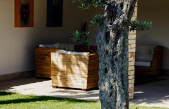 Villa Araucaria - Foto 11