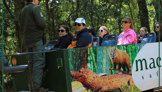 Durante il percorso col veicolo elettrico