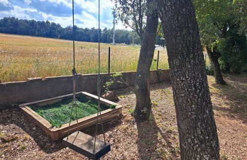 La casa del pi - Foto 7