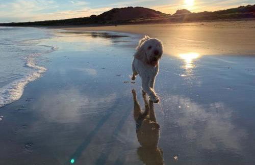 Pew With a View - Seafront Cottages - Foto 80