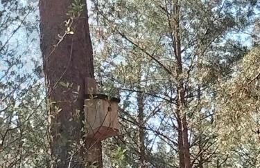 Leśna Chata kuracyjna nad rzeką z sauną w Borach Tucholskich - Foto 25