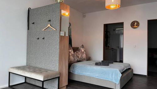 Zentrale Stadtwohnung, Bahnhofsnähe, OG-Krankenhaus, OG-Messe, EuropaPark - Foto 3