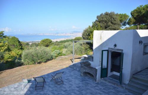 Dimora degli Ulivi - Vesuvio - Foto 5