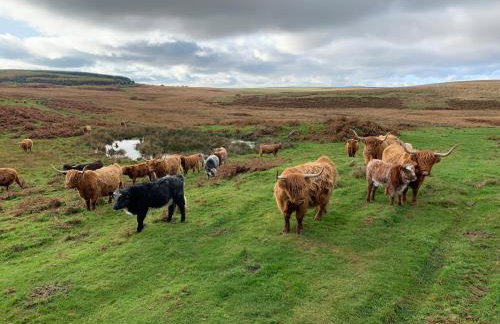 Close to beaches and golf courses - Foto 17