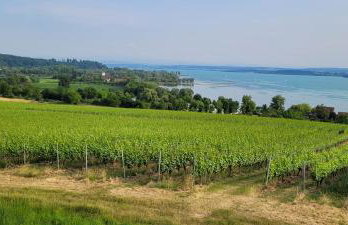 Ferienwohnung am Rotach - Foto 64