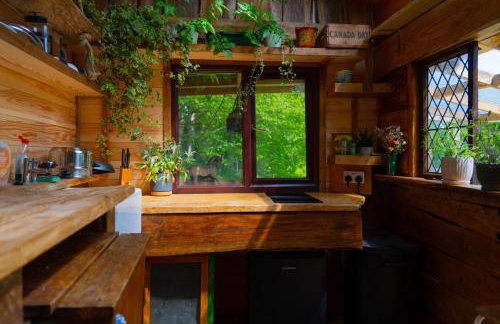 Wood Cabin & 4 Large Bell Tents - Hapus Hideaway - Foto 38