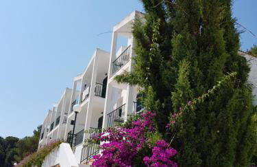 The Desmais - Foto 100