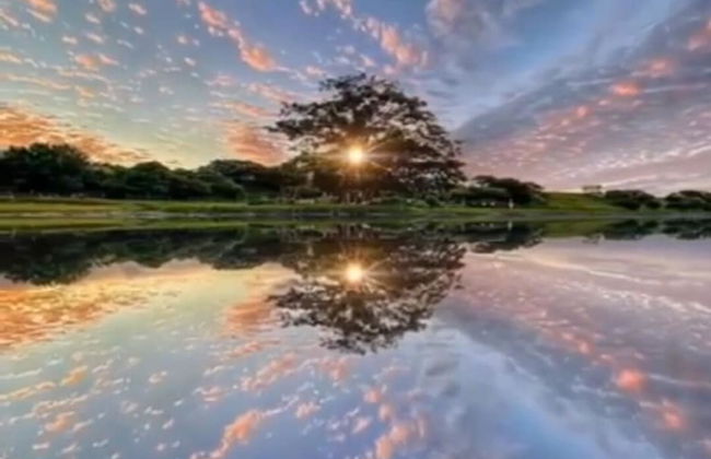 Cameracaffè sul Lago - Foto 38