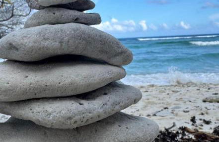 Apartmenthaus Sonnenblick - Foto 8