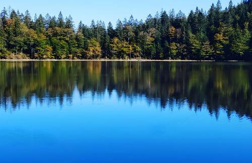 Haus Fabienne - Foto 20