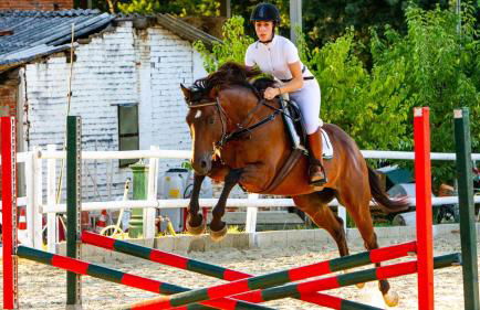 Villa Elisa 16 in Fucecchio - Foto 32