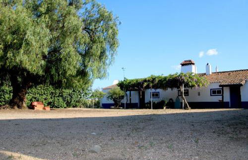 Monte da contenda - Foto 45