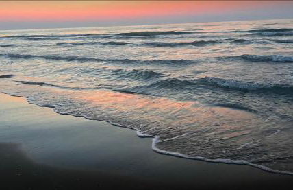 L'Orto di MiLa - Foto 33