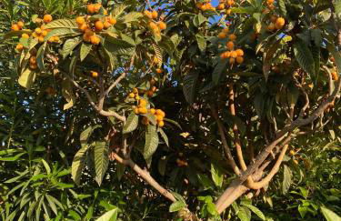 Villetta sul Mare - Foto 58