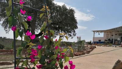 Monte Beatriz - Foto 5