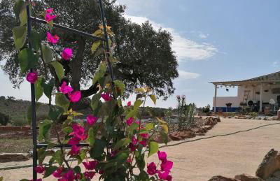 Monte Beatriz - Foto 5