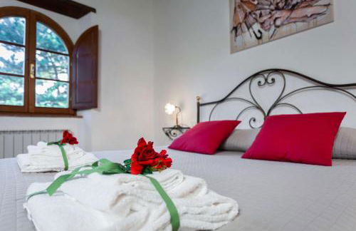 Agriturismo Le Celle - Foto 6