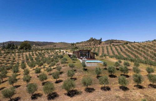 Acushla Golden House Douro - Foto 41